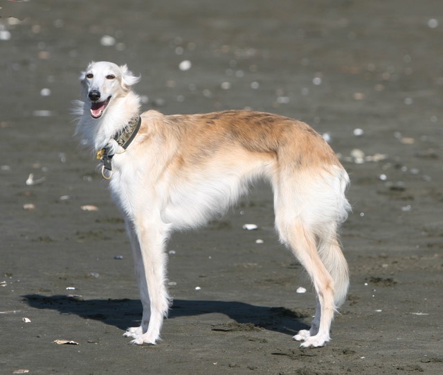 6693471997 b4d30bb263 o