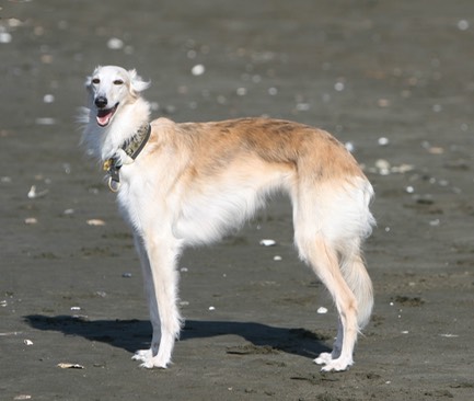 6693471997 b4d30bb263 o